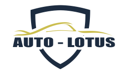 portofoliu web design