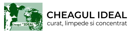 portofoliu